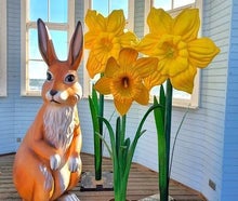 Osterglocke XXL - Riesen Blume