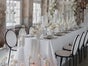 Samt Stuhl PARIS schwarz/weiss gold/rose weds4rent - Galerie - Bild 4