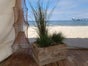 Maritime Dekoration - Strandkiste mit Dünengrass - Galerie - Bild 2