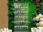 Sektwand mieten / Champagnerwall / Champagner Wand - Galerie - Bild 4