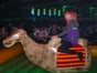 Kamelrodeo - Bullriding Variante inkl. 19% MwSt. - Galerie - Bild 2