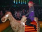 Kamelrodeo - Bullriding Variante inkl. 19% MwSt. - Galerie - Bild 2