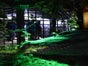 Krokodil Grotte, Grusel Party, Halloween Dekoration - Galerie - Bild 4
