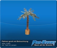 Palmen groß mit Beleuchtung