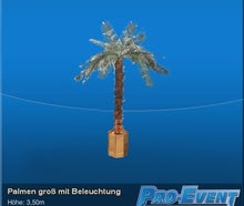 Palmen groß mit Beleuchtung