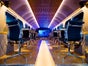 "Scenicruiser" - historischer Greyhound Bus von 1956 mit Luxus Ausstattung - Galerie - Bild 3