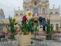 Riesen - Gras - für  Riesenblumen - Galerie - Bild 4