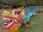 Chinesischer Drache - Tanzdrache aus Ballons - Ballondrachen - Galerie - Bild 3