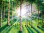 Wald Bühnenbild, Wald Kulisse, Waldlandschaft - Galerie - Bild 2