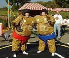 Sumo Wrestling