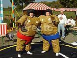 Sumo Wrestling