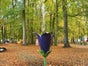 Springblume - Blume mit Springbrunnen - Galerie - Bild 3