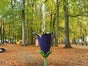 Springblume - Blume mit Springbrunnen - Galerie - Bild 3
