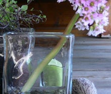 Bergenie, Quader-Vase mit buntem Kies