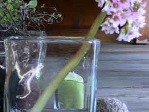Bergenie, Quader-Vase mit buntem Kies