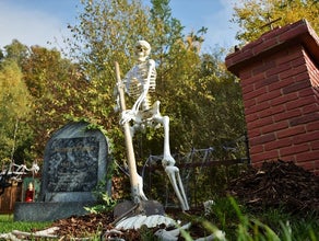 Halloween Skelett - grabendes Skelett, Halloween Dekoration