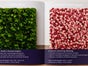Florale Selfie-Wand mieten – Fotowand für Events & Promotion, Fotohintergrund, Event- Dekoration - Galerie - Bild 2