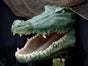 Krokodil Grotte, Grusel Party, Halloween Dekoration - Galerie - Bild 2
