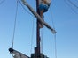 Pirat - hängend, Piratendekoration, Piraten - Galerie - Bild 3