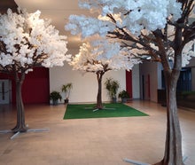 Kunstbäume mieten, Kirschblütenbaum mieten , Olivenbaum mieten 4m hoch, 3,5m breit Deko, Baum, Kunstblumen