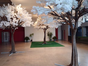 Kunstbäume mieten, Kirschblütenbaum mieten , Olivenbaum mieten 4m hoch, 3,5m breit Deko, Baum, Kunstblumen