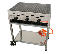 Gasgrill mit Untergestell und Pfanne