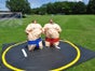 Sumo Wrestling / Sumo Ringen / Sumo Fatsuit - Galerie - Bild 2
