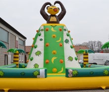 Kletterberg Donkey Kong inkl. 19% MwSt.