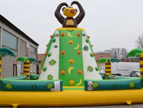 Kletterberg Donkey Kong inkl. 19% MwSt.