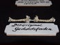 Kuriositätenkabinett, Jahrmarkt, Markt - Galerie - Bild 2