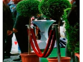 Liguster ( ohne verkleidung )