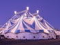 Zirkuszelt 24Meter - Galerie - Bild 2