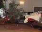 historischer Pferdeschlitten, ca. 100 Jahre inkl. 19% MwSt. - Galerie - Bild 3