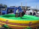 Bullriding - Galerie - Bild 1