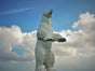 Eisbär stehend - Galerie - Bild 2