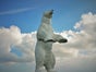 Eisbär stehend - Galerie - Bild 2