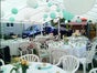Partystuhl, PVC-Stuhl, Kunststoffstuhl mieten Berlin & Umland - Galerie - Bild 3