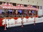 Nostalgie Zaunelement - Galerie - Bild 3