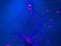 Lichttechnik / Lasereffekt / LED Lichtanlage / Licht Komplettsystem / Partybeleuchtung / Tanzlicht - Galerie - Bild 3