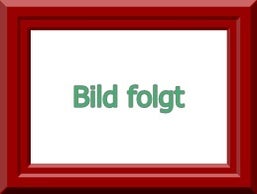 mobile SAA und ELA Anlagen - Sicherheitstechnik für Grossevents