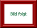 mobile SAA und ELA Anlagen - Sicherheitstechnik für Grossevents - Galerie - Bild 1