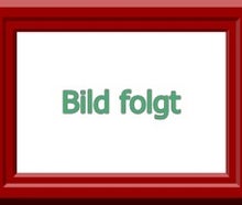 mobile SAA und ELA Anlagen - Sicherheitstechnik für Grossevents