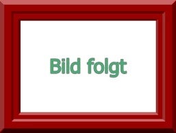 mobile SAA und ELA Anlagen - Sicherheitstechnik für Grossevents