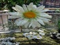 Frühlingslandschaft Künstlich Frühling Frühlingsdekoration - Galerie - Bild 2