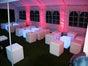 Gartenparty 35 Personen inkl. Lounge - Galerie - Bild 3