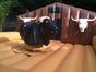 Bullriding deluxe - das exklusive American Western Rodeo inkl. 19% MwSt.! - Galerie - Bild 4