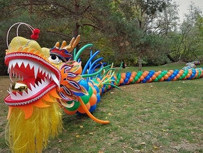 Chinesischer Drache - Tanzdrache aus Ballons - Ballondrachen