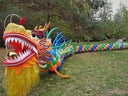 Chinesischer Drache - Tanzdrache aus Ballons - Ballondrachen