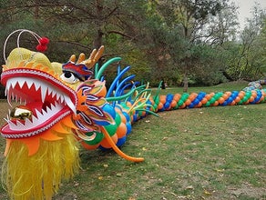 Chinesischer Drache - Tanzdrache aus Ballons - Ballondrachen