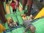 Jungle Track ~ Hindernisparcour ~ Hüpfburg ~ Springburg ~ Multiplay ~ bei spass-events - Galerie - Bild 4